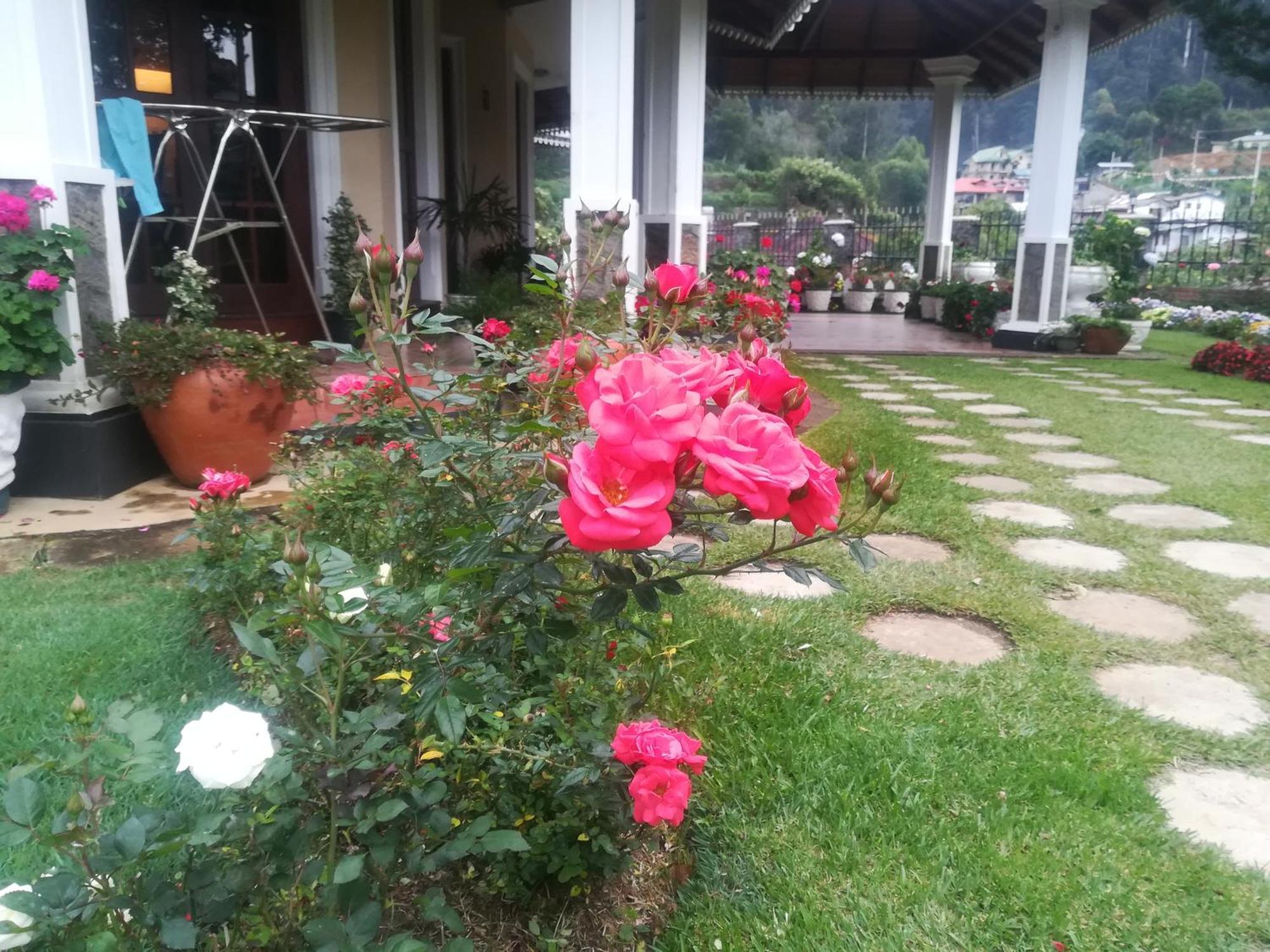 Royal Wattles Apartment Nuwara Eliya Luaran gambar